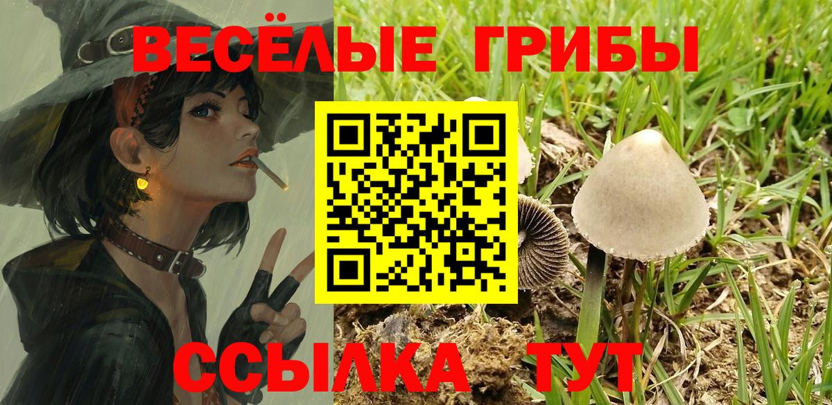 Протвино  Псилоцибиновые грибы мухоморы  Вход с VPN 