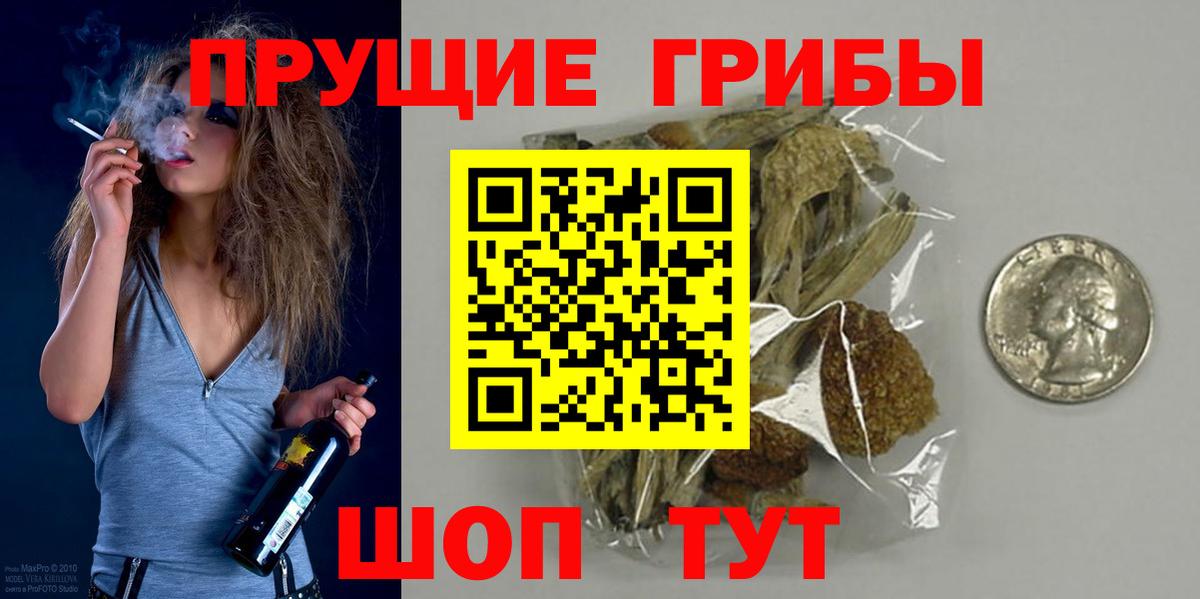 Псилоцибиновые грибы Psilocybe Протвино
